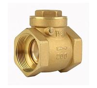 Válvula de retención de giro sin retorno de rosca hembra 23 2PSI Evitar el flujo de fondo de agua DN32 DN40 DN50 Opcional(DN40)