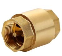 Válvula de retención de latón de alta presión: válvula de retención de resorte de tubería de agua duradera for temperaturas extremas(2.5In)