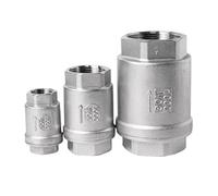 Válvula de retención de resorte de acero inoxidable 304/316, 1/4"-2" BSPT, DN15-25, grado industrial(1",SS304)