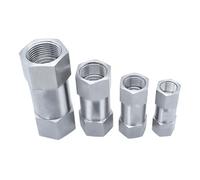 Válvula de retención dividida de alta presión de acero inoxidable 304 con rosca hembra de 1/8", 1/4", 3/8", 1/2", 3/4", 1" Válvula antirretorno unidireccional(304SS-Pressure 63BAR,3I8)