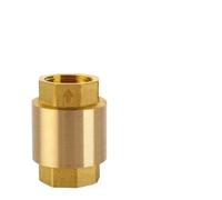 Válvula de retención en línea de cobre DN15/DN20/DN25(3l4 Inch)