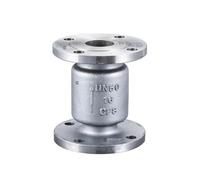 Válvula de retención vertical de acero inoxidable 304 con brida, válvula antirretorno unidireccional, válvula de retención inversa de tipo elevación, DN25-DN50, H42W-16P(DN40)