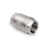 Válvula de retención vertical de acero inoxidable 304 con rosca hembra BSP de 1 pulgada DN25 sin retorno para agua, gas y aceite