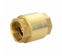 Válvula de retención Vertical de boca de alambre de rosca hembra(DN20)