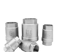 Válvula de retención vertical unidireccional de acero inoxidable 304, de 1/4", 3/8", 1/2", 3/4", 1" y 2" BSPT hembra, con sello rígido o blando.(DN50 2 Inch BSP)