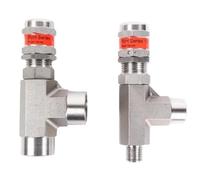 Válvula de seguridad alivio presión 1/8 1/4 3/8 1/2" BSP NPT macho hembra en ángulo acero inoxidable 316L. Liberación aire(1/4",BSPT_CP 215-435 PSIG)