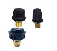 Válvula de seguridad de latón reemplazable Accesorios for el hogar Compatible con Karcher, SC1 CTK10 SC2 SC1020 o SC4 SC5 o SG4-4 Repuestos Limpiador a vapor(SG4-4)