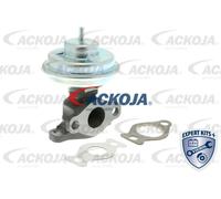 ACKOJA A52-63-0002 Válvula EGR