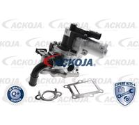 Válvula EGR AGR eléctrico A52-63-0013 ACKOJA para KIA HYUNDAI