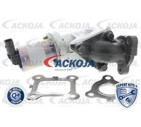 Válvula EGR ACKOJA A53-63-0001
