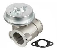 FEBI BILSTEIN 172830 Válvula EGR