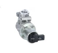 NRF 48690 Válvula EGR