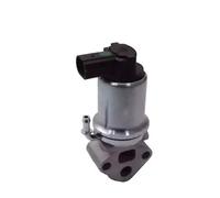 Magneti Marelli Válvula EGR 571822112014