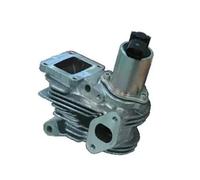 Magneti Marelli Válvula EGR 571822112044