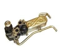 MAGNETI MARELLI AGR-Válvula Para VW Polo 1.2 TDI Seat Ibiza IV Sportcoupé
