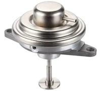 Magneti Marelli Válvula EGR 571822112131 para Opel y Vauxhall (Vectra, Omega)