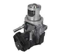 Válvula EGR AGR 88254 MEAT & DORIA para BMW X5 X6 1 3 Touring 5 6 Coupé 7 3 X3