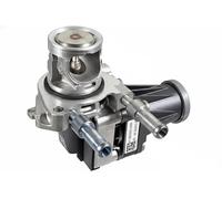 METZGER Válvula EGR para FORD: Focus, Puma, Kuga, Connect, Ecosport (Ref: 08920106)