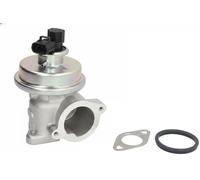 Válvula EGR AGR EG10449-12B1 DELPHI para FORD TRANSIT Autobús TRANSIT Furgoneta
