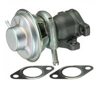 Válvula EGR AGR EG10476-12B1 DELPHI para FIAT IVECO