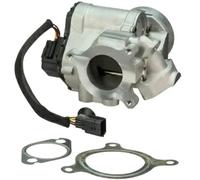 DELPHI Válvula EGR para RENAULT: Master, Trafic (Ref: EG10495-12B1)