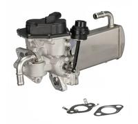 DELPHI VÃ¡lvula EGR para VOLKSWAGEN: Transporter (Ref: EG10576-12B1)