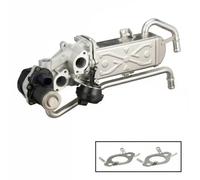 Delphi Válvula EGR EG10589-12B1 con radiador EGR para SEAT, Volkswagen, Audi, Skoda