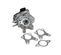Válvula EGR AGR EGR-NS-007 NTY para NISSAN NAVARA NP300 NAVARA NP300 Caja/Chasis