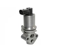 Válvula EGR AGR eléctrico 555046A ERA para VW AUDI SEAT SKODA