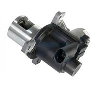 ERA 555169A Válvula EGR