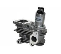 Válvula EGR AGR eléctrico 555205A ERA para RENAULT LAGUNA II SCÉNIC II MEGANE II