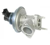 ERA 555243A Válvula EGR