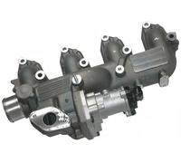 ERA 555306 Válvula EGR