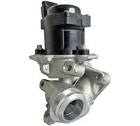 HELLA 6NU 010 171-101 Válvula EGR - 12V - eléctrico - con junta - con abrazadera