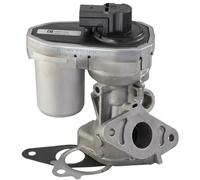 Válvula Egr Pierburg 7.24809.70.0 para Land Rover Citroën Fiat Ford Peugeot