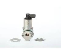 Válvula EGR AGR eléctrico 710721D BorgWarner (Wahler) para VW SEAT SKODA