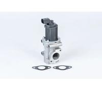 BorgWarner 710772D Válvula EGR