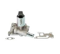 Válvula EGR AGR eléctrico 710831D BorgWarner (Wahler) para OPEL CORSA D ASTRA H