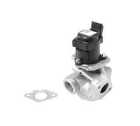 BorgWarner Válvula AGR Eléctrica Para Ford Fiesta VI Focus C-Max 1.6 TDCi