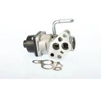WAHLER 710935D Válvula EGR