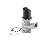 Válvula EGR AGR eléctrico 710958R BorgWarner (Wahler) para FIAT OPEL LANCIA