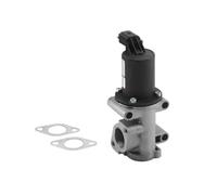 Válvula EGR AGR eléctrico 710960R BorgWarner (Wahler) para FIAT ALFA ROMEO