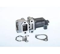 WAHLER 710964R Válvula EGR