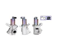 Válvula EGR AGR eléctrico 717720341 DRI para SSANGYONG KYRON REXTON / REXTON II