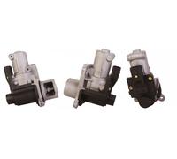 Válvula EGR AGR eléctrico 717730029 DRI para VW SKODA SEAT AUDI