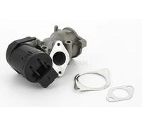Válvula EGR AGR eléctrico 8813 10001 TRISCAN para PEUGEOT FORD CITROËN FIAT