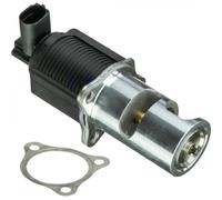 Delphi Válvula EGR agrícola EG10405-12B1 para Renault, Opel y Vauxhall