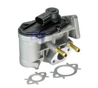 Válvula EGR AGR eléctrico EG10411-12B1 DELPHI para VW AUDI SKODA