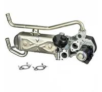 DELPHI EG10432-12B1 Válvula EGR