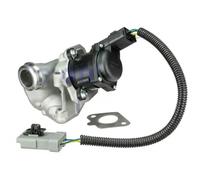 Delphi Technologies EG10434-12B1 Válvula EGR